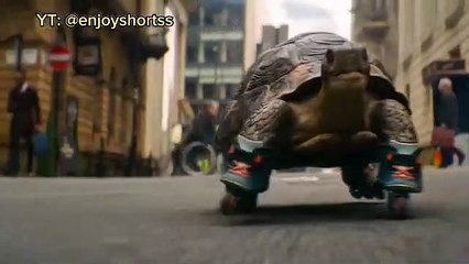 Funtime Tortoise |   #tortoise #viral #trending #enjoyshorts @enjoyshorts