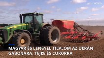 Magyarország és Lengyelország is leállítja az ukrán gabonaimportot