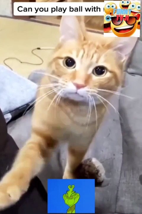 It's really super funny video_2023_04