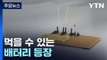 [과학 한스푼] 먹을 수 있는 배터리 등장...삼키는 내시경 나오나 / YTN