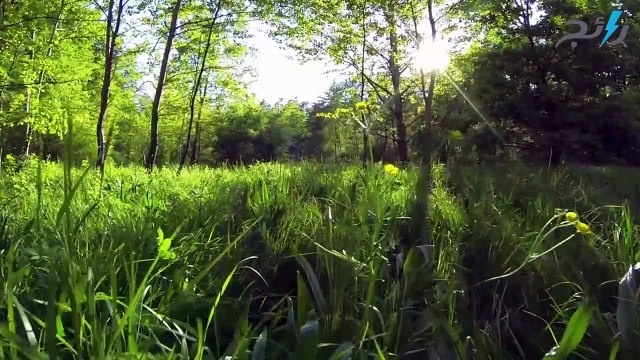 دعاء لقضاء الحوائج