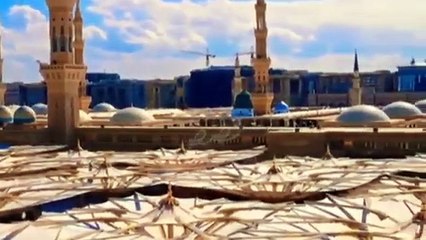 True History of the animal whose name was Buraq اس جانور کی تاریخ جس کا نام براق تھا۔