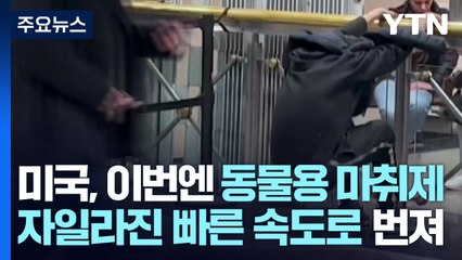 미국, 신종 '좀비 마약' 확산...한인사회도 불안감 증폭 / YTN