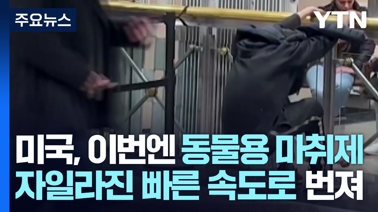 미국, 신종 '좀비 마약' 확산...한인사회도 불안감 증폭 / YTN