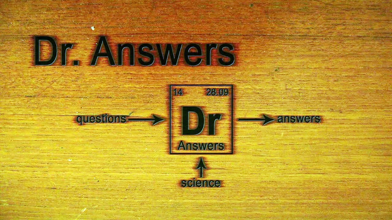 Jack the Ripper | Dr Answers | MASHED