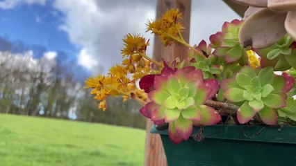 Le Couserans Côté Saveurs