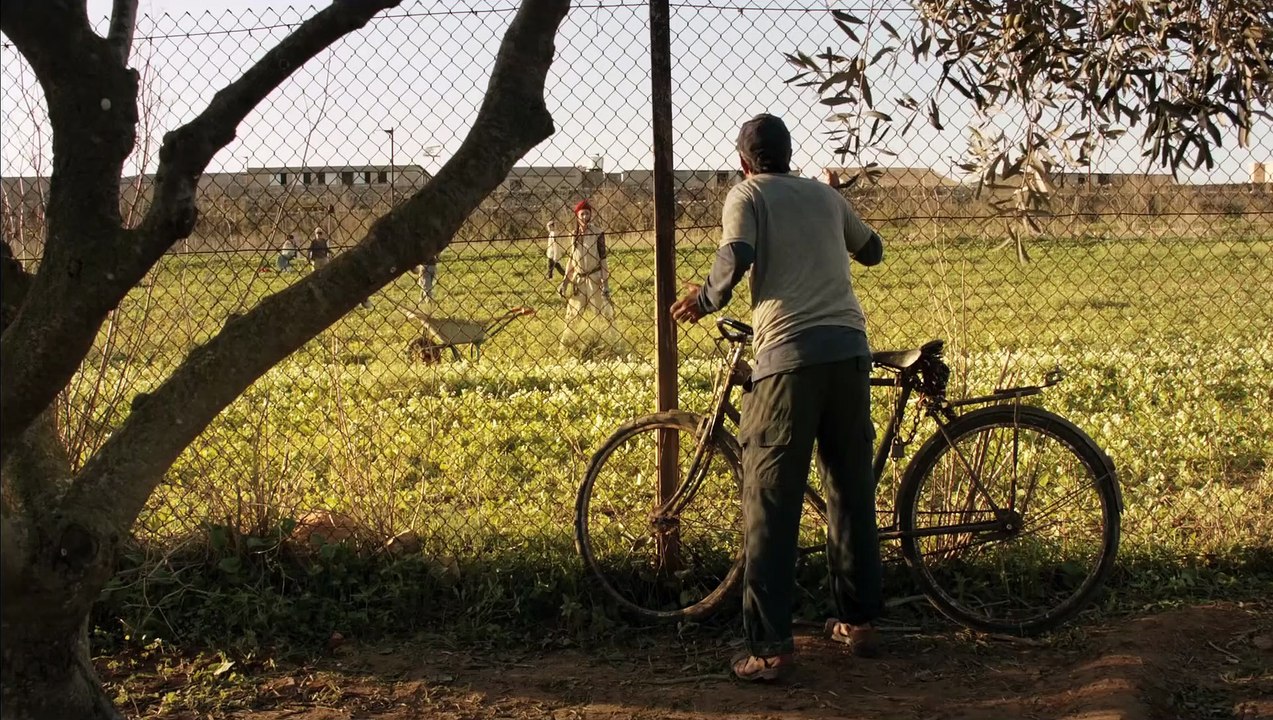 Le Cochon de Gaza - Bande annonce VF