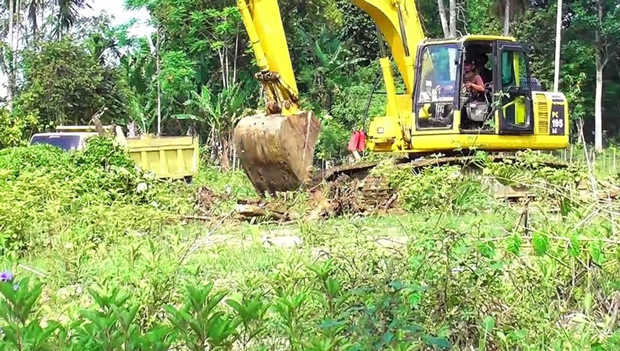 Forest Removal: The Process of Building a Football Field with an Excavator || PC 195 LC