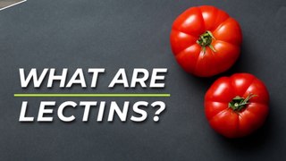 Lectins - What are they?