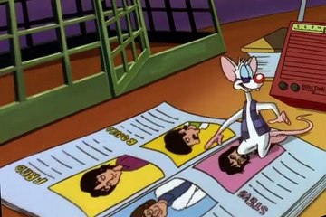 Pinky and the Brain S03 E09