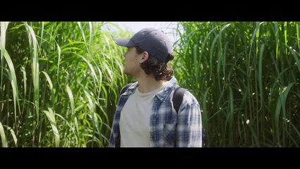 In The Tall Grass
