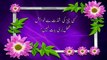 THE MOST Amazing Urdu Quotes Best Urdu Aqwal E Zareen by anjum shah voice poetry