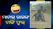 News Fuse | Drunk man loses control on road, falls with pillion rider