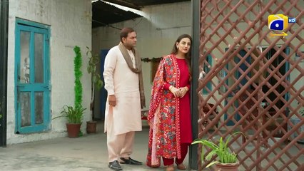 Qalandar Ep 56        Muneeb Butt   Komal Meer   Ali Abbas   Hiba Aziz   FLO Digital