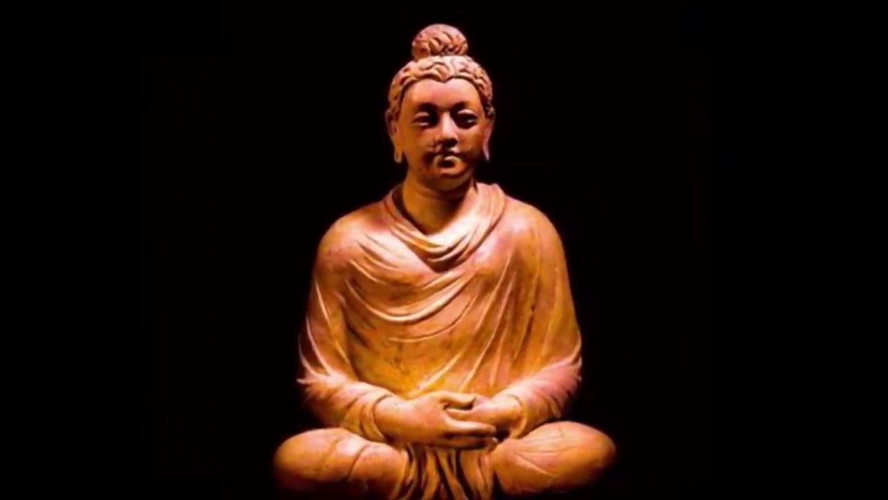 南無 阿彌陀佛 一聲佛號一聲心 Amitabha O-bí-tô-hu̍t A-di-đà พระอมิตาภพุทธะ 아미타불 阿弥陀如来  海浪 雀鳥