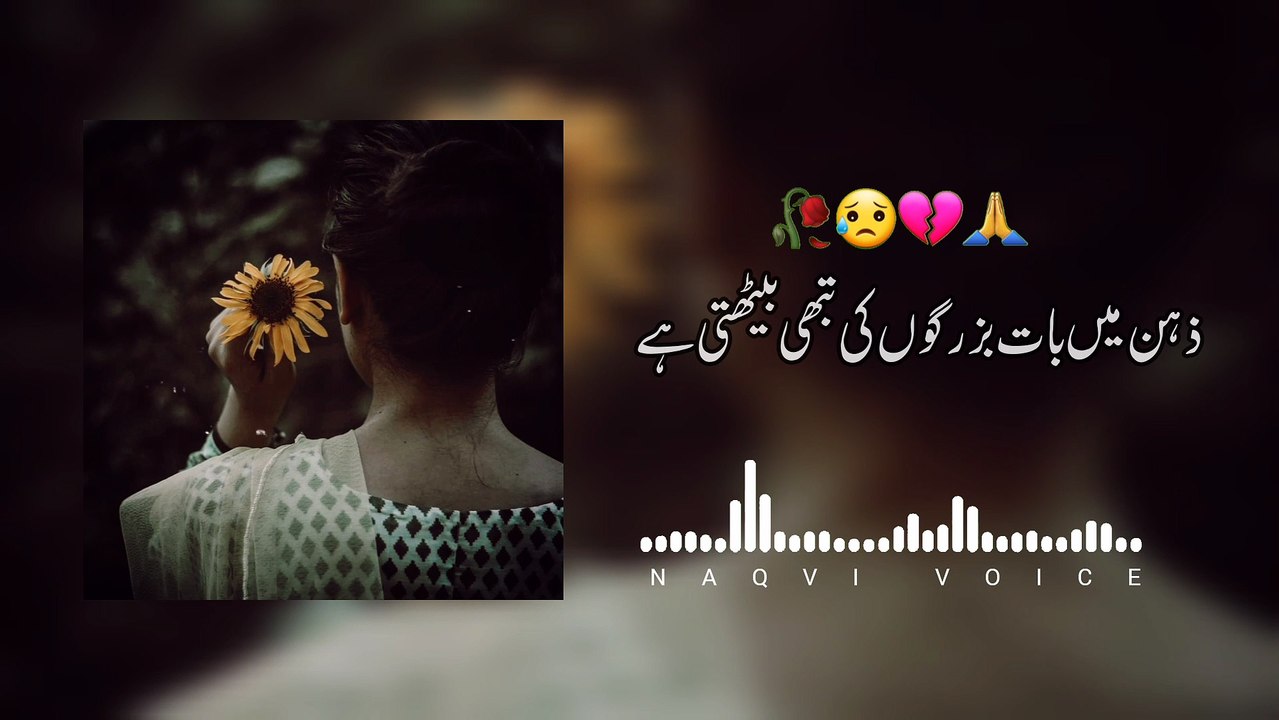 Chahta Jo Bhi Hai Wo Kah Ke Guzar Jata Hai | चाहता जो भी है वो कह के गुज़र जाता है | Naqvi Voice