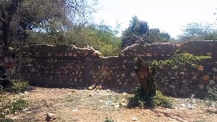 रणथम्भौर: जगह- जगह से क्षतिग्रस्त हो रही सुरक्षा दीवार