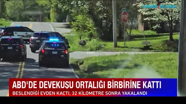 Beslendiği evden kaçan deve kuşu ortalığı birbirine kattı