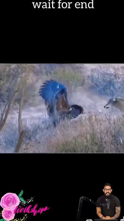 Tranding Videos-Tranding Shorts-Tranding songs #tranding #trandingshorts #shorts #viral #001 16-4-23 (1)