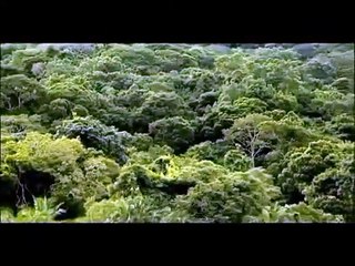 Man to Man Bande-annonce (FR)