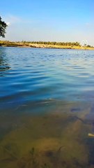 Must Watch Challenging New Comedy Video 2023  Nonstop Maha Funniest Video