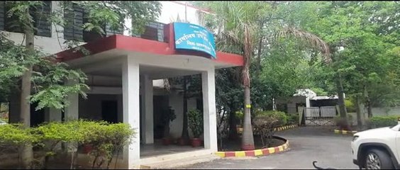 जंगल में विलुप्त और स्थानीय प्रजातियों के बीजों का किया जा रहा है संग्रहण