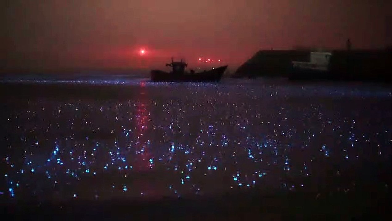 It called blue tears