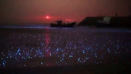 It called blue tears