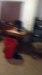 How To a Bailey's House Homestesd, FL After Weeks 2022