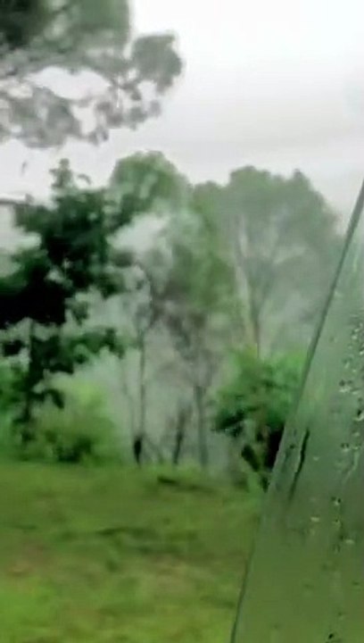 Rain ️ beautiful view