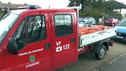 Umwelttag Strasshof räumt auf