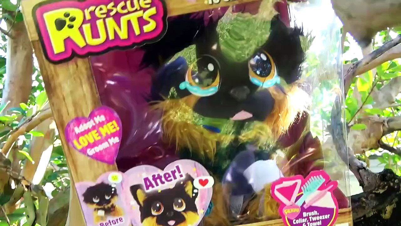 Kids Entertainment Show Diana and Roma pretend play climbing with activity toys