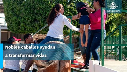 Equinoterapia, una esperanza para personas con discapacidad