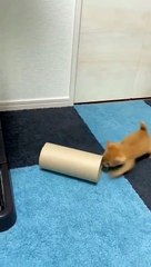 Keep Rolling Rolling, Keep Rolling Rolling