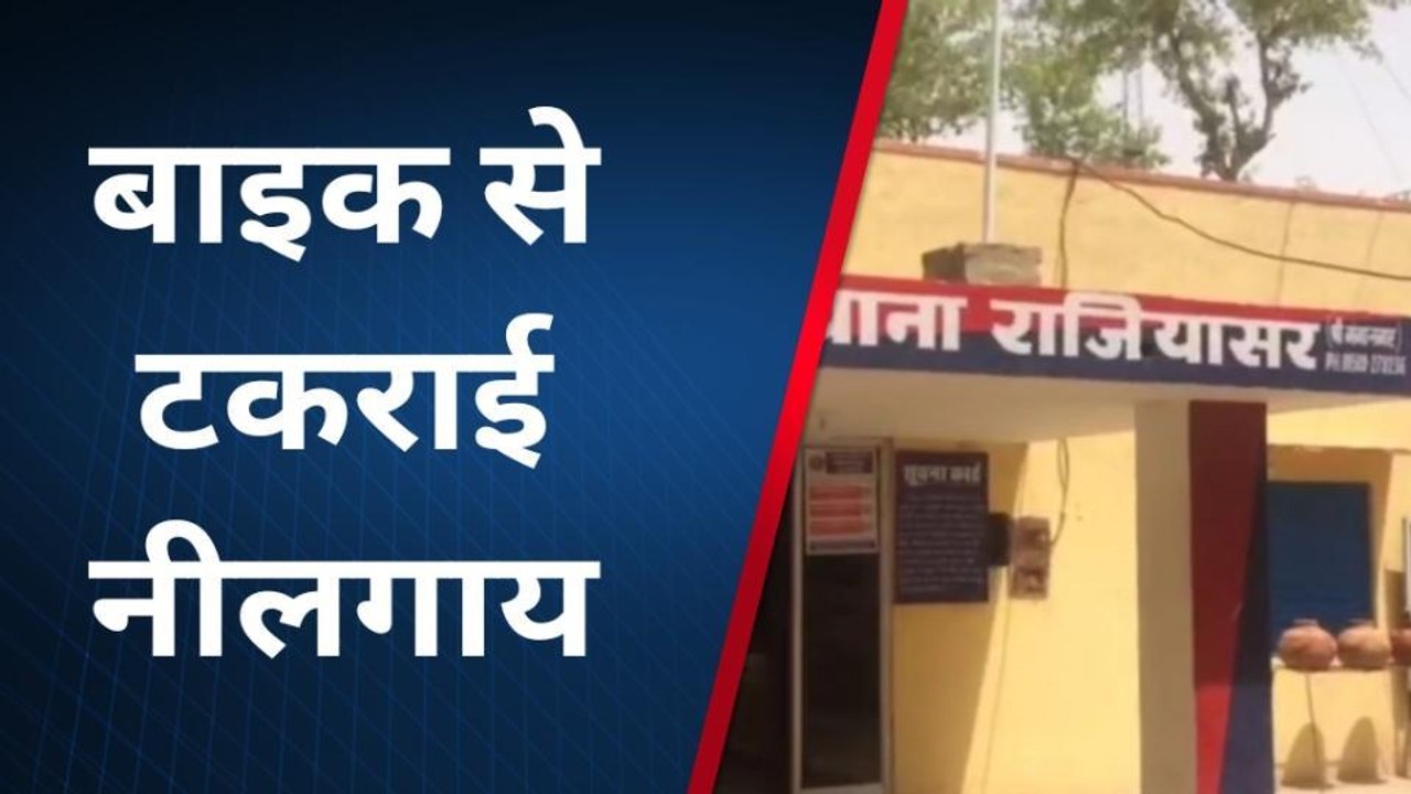 सूरतगढ़:बाइक से टकराई नीलगाय, देखिए