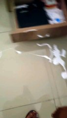 Naughty Kid | Kid For Sale | Funny Moments Of Toddlers