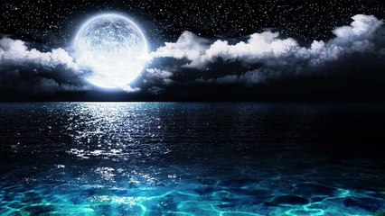 Relaxing Sleep Music - Calm Music - Sleep Meditation - Study Music - Yoga Music - Ashoo Relaxing Station