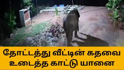 கோவை: வீட்டின் கதவை உடைத்த காட்டு யானை!