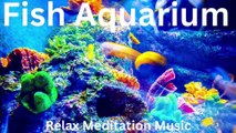 vbStunning Relaxing Music - The Best 4K Aquarium for Relaxation  Sleep Relax Meditation Music -bvb