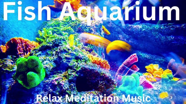 vbStunning Relaxing Music - The Best 4K Aquarium for Relaxation Sleep Relax Meditation Music -bvb