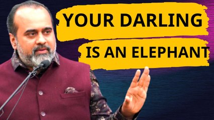 Your darling is an elephant || Acharya Prashant