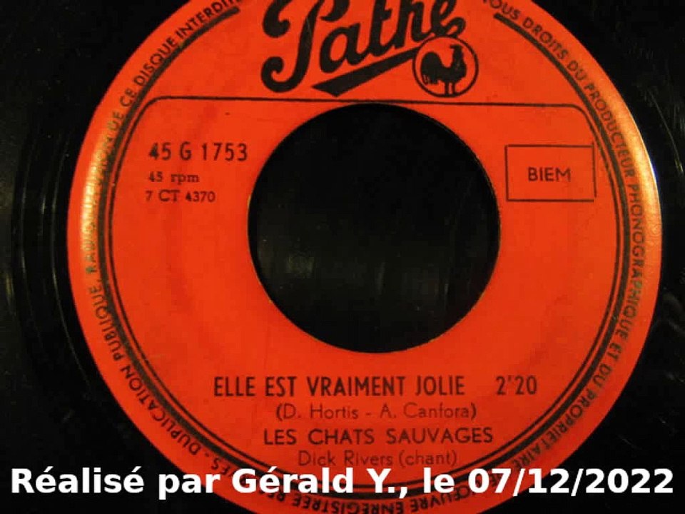 Les Chats Sauvages & Dick Rivers_Elle est vraiment jolie (1962)karaoké