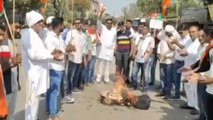 नर्मदापुरम: BJP युवा मोर्चा का जारी है प्रदर्शन, नेता प्रतिपक्ष गोविंद सिंह का फूंका पुतला