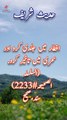 Daily hadees in Urdu and hindi| Hadees in Hindi