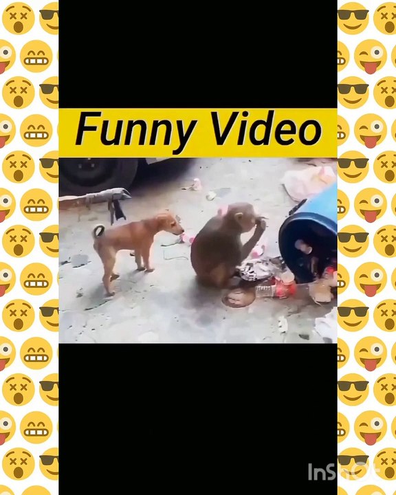Funny dog