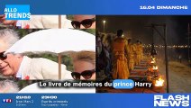 Retrouvailles tendues pour Camilla et Harry lors du Couronnement : les fantômes du passé resurgissent.