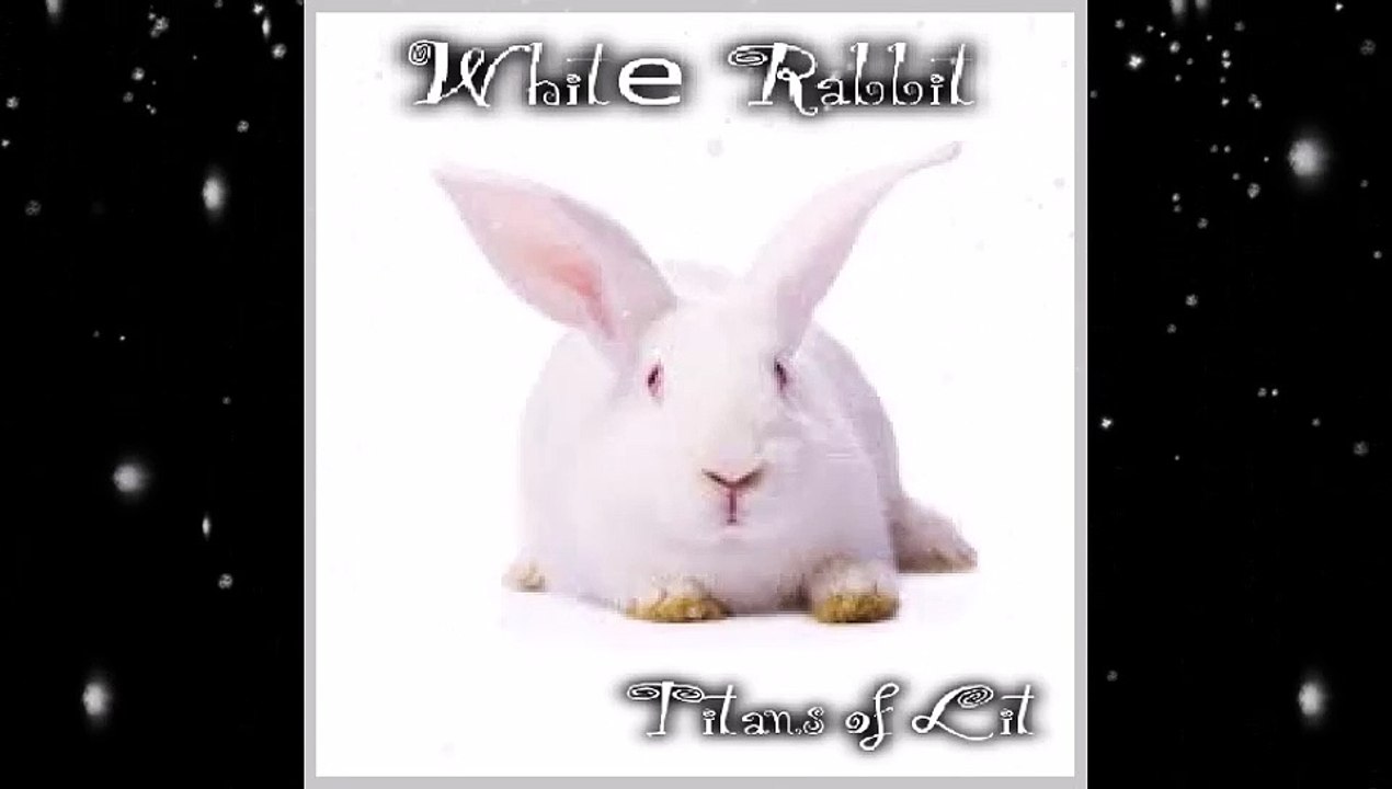 White Rabbit