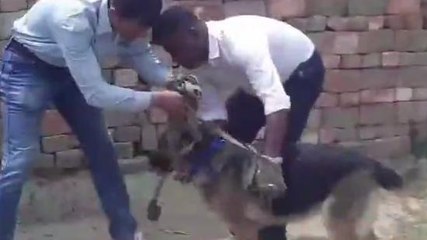 দঃ দিনাজপুর: নিখোঁজ কিশোর! কুকুর নামিয়ে চললো তল্লাশি