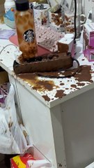 Aftermath of Cat Knocking Bottle onto Ground