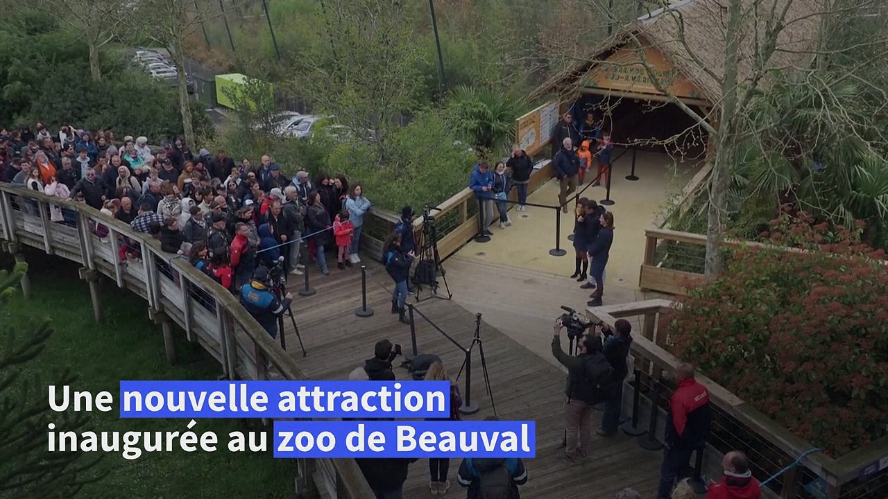 ZOO DE BEAUVAL – LA GRANDE VOLIERE SUD AMERICAINE – Actu'Zoo